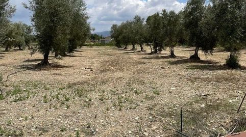 Terreno Rústico en venta en HuércalOvera., immagine 3