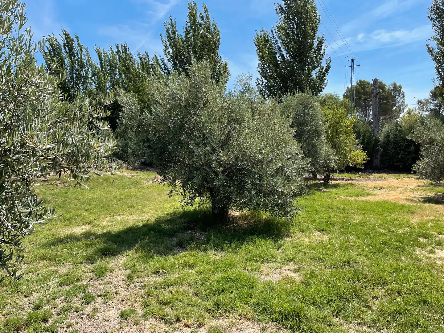 Terrenos y solares en venta en Úbeda, imagen 2