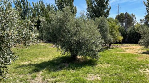 SE VENDE PARCELA RÚSTICA EN SAN BARTOLOME, immagine 2