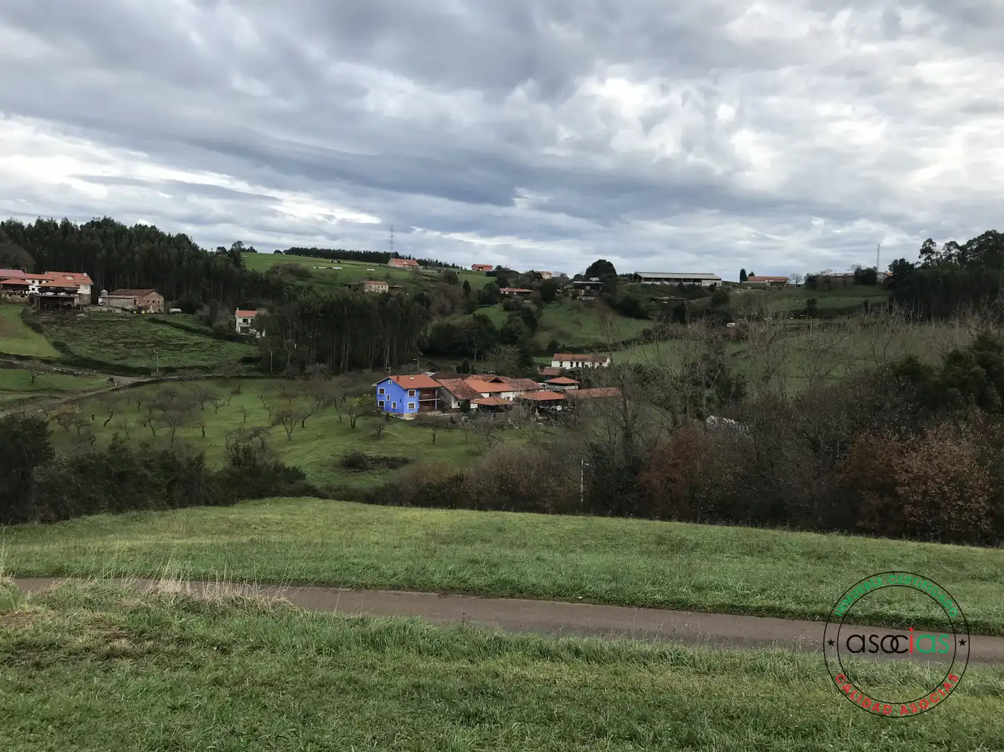 Terreno rústico en venta en Prendes s/n, imagen 8