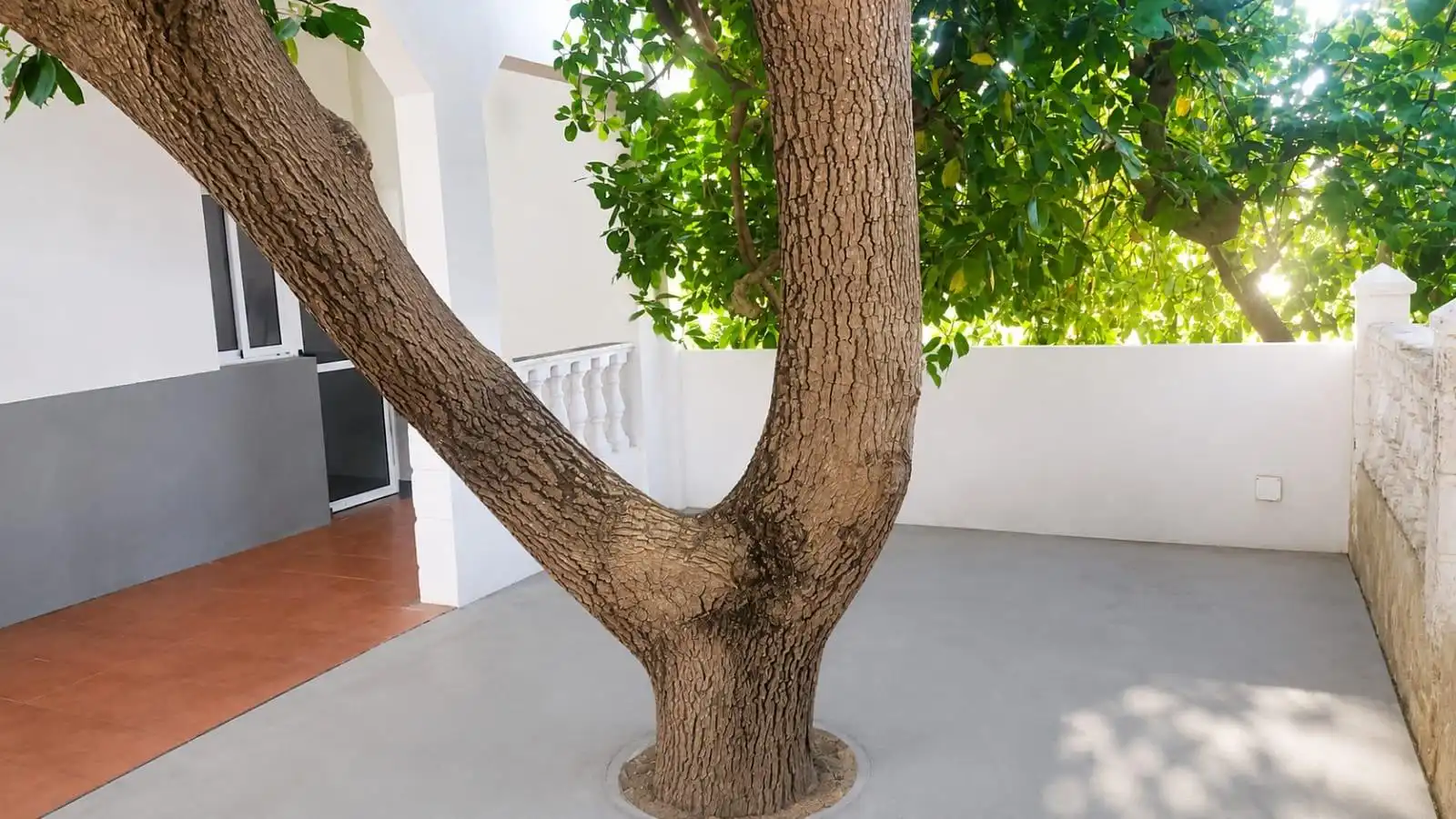 Jardí de Casa o xalet en venda en Teror amb Jardí privat, Terrassa i Balcó