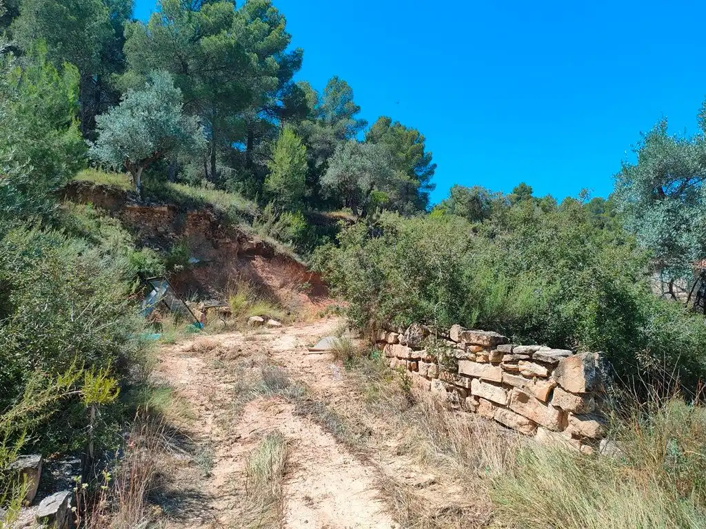 Terreni e lotti in vendita a Calaceite, imagen 6