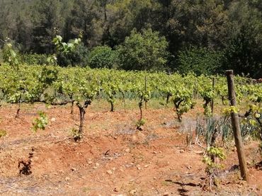 Rustikales Grundstück zum Verkauf in Olesa de Bonesvalls