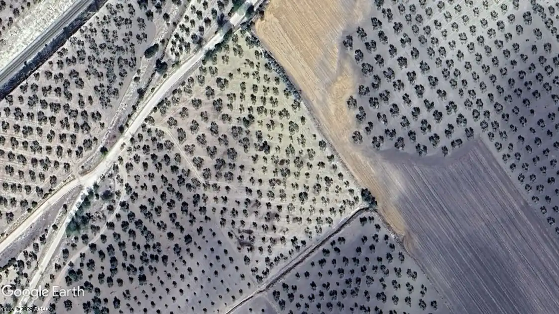 Rural land for sale in Arahal