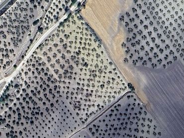 Rustikales Grundstück zum Verkauf in Arahal