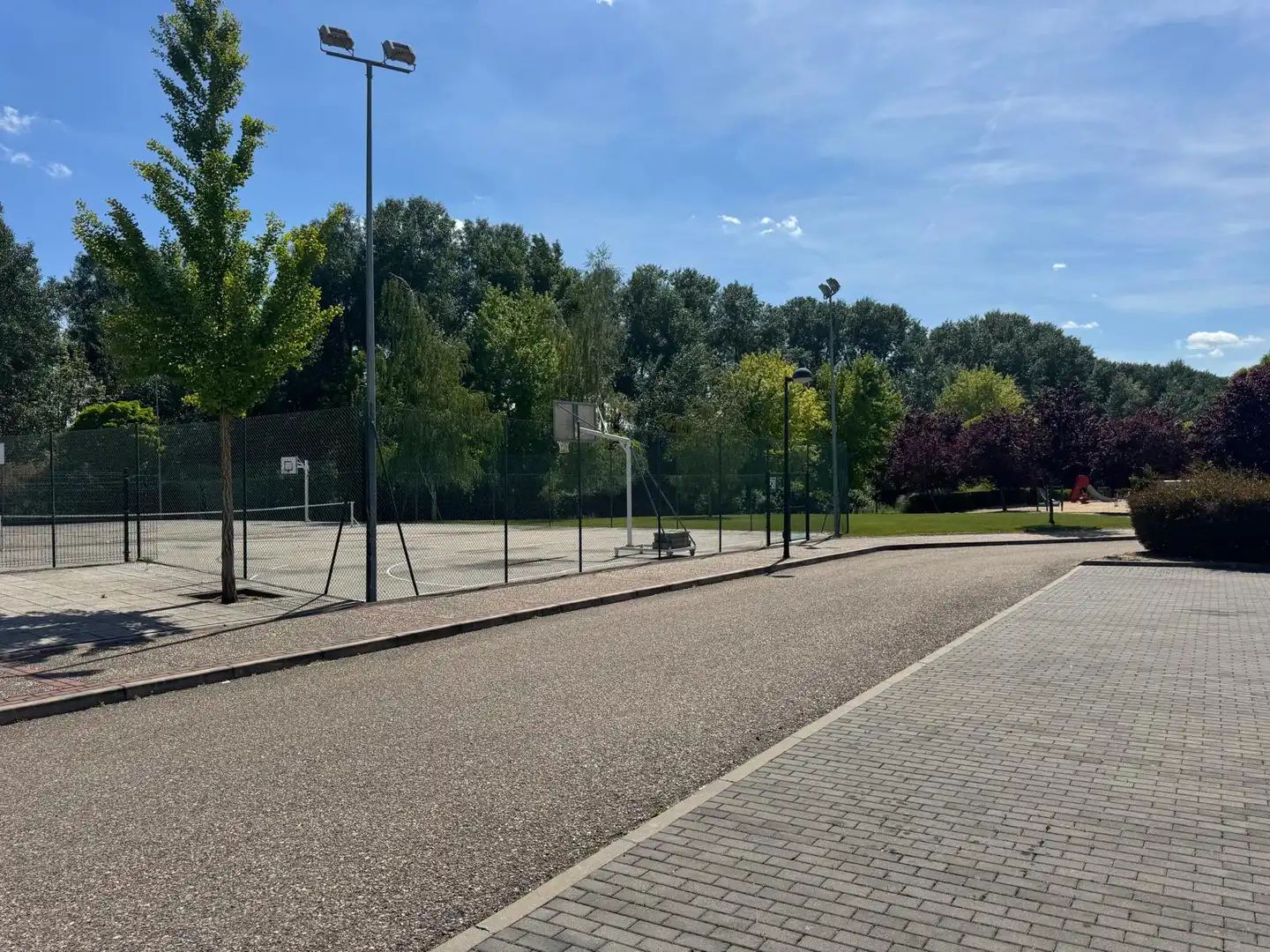 Terreny residencial en venda a Calle Alemania 16, imagen 4