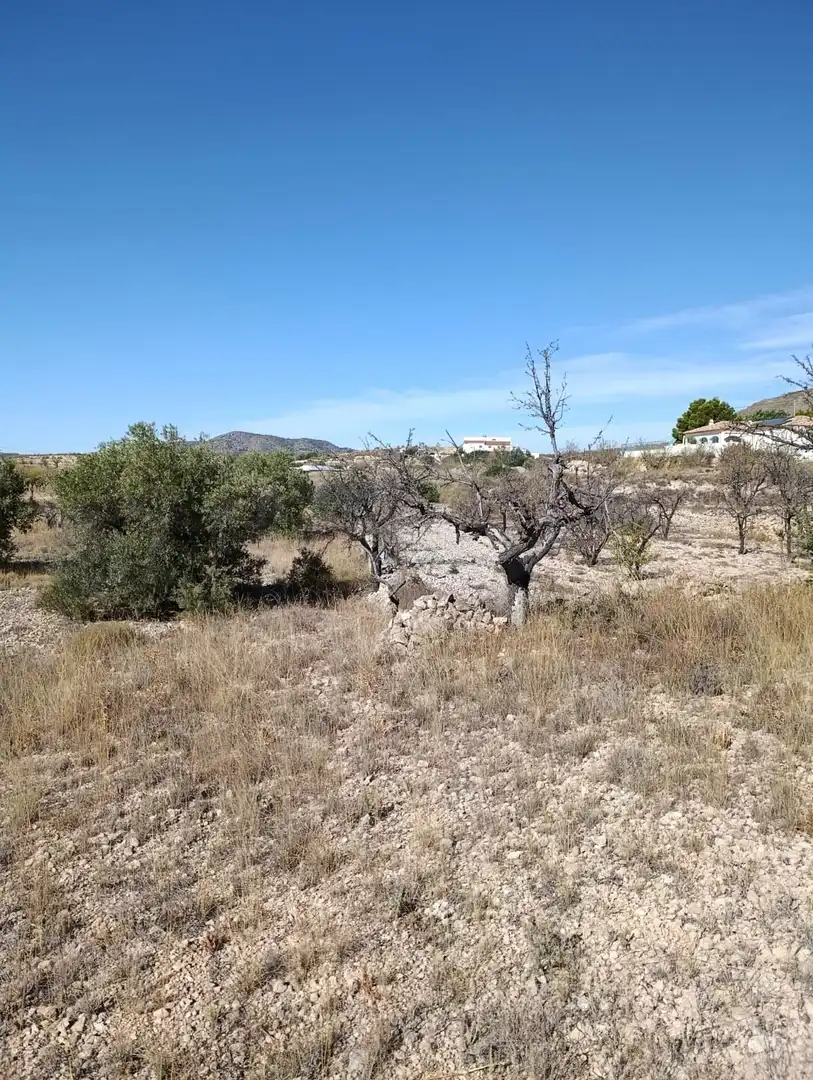Terreno rustico in vendita a Hondón de las Nieves / El Fondó de les Neus, imagen 32