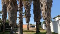 Vista exterior de Casa o xalet en venda en Chiclana de la Frontera amb Aire condicionat, Calefacció i Jardí privat