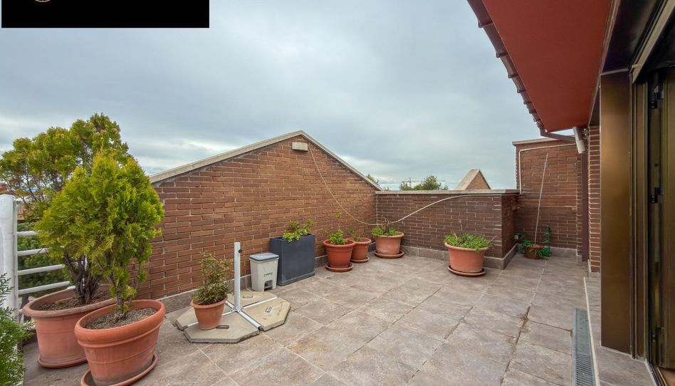 Ático de alquiler en Europa, Avenida Europa - Imagen 3