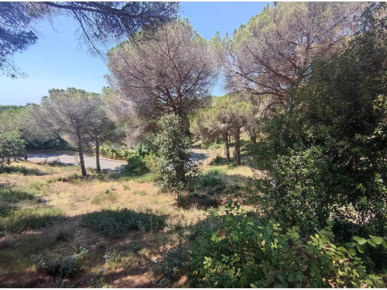 Terreno residencial en venta en Calle Tortuga 21, imagen 20