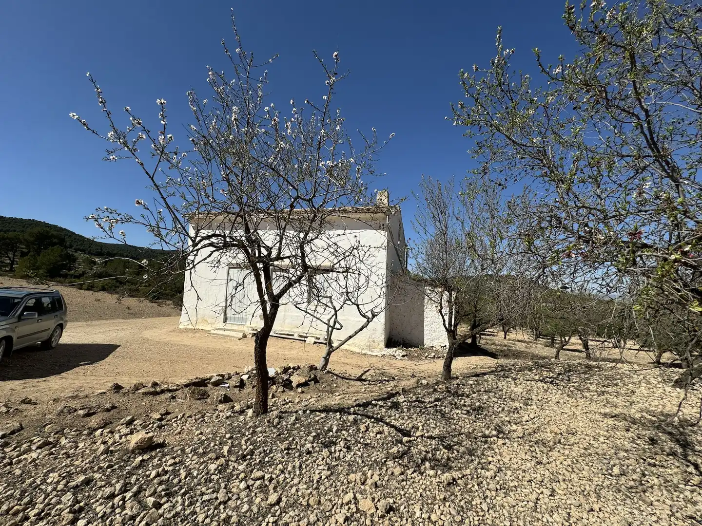 Vista exterior de Finca rústica en venda en Villena amb Moblat