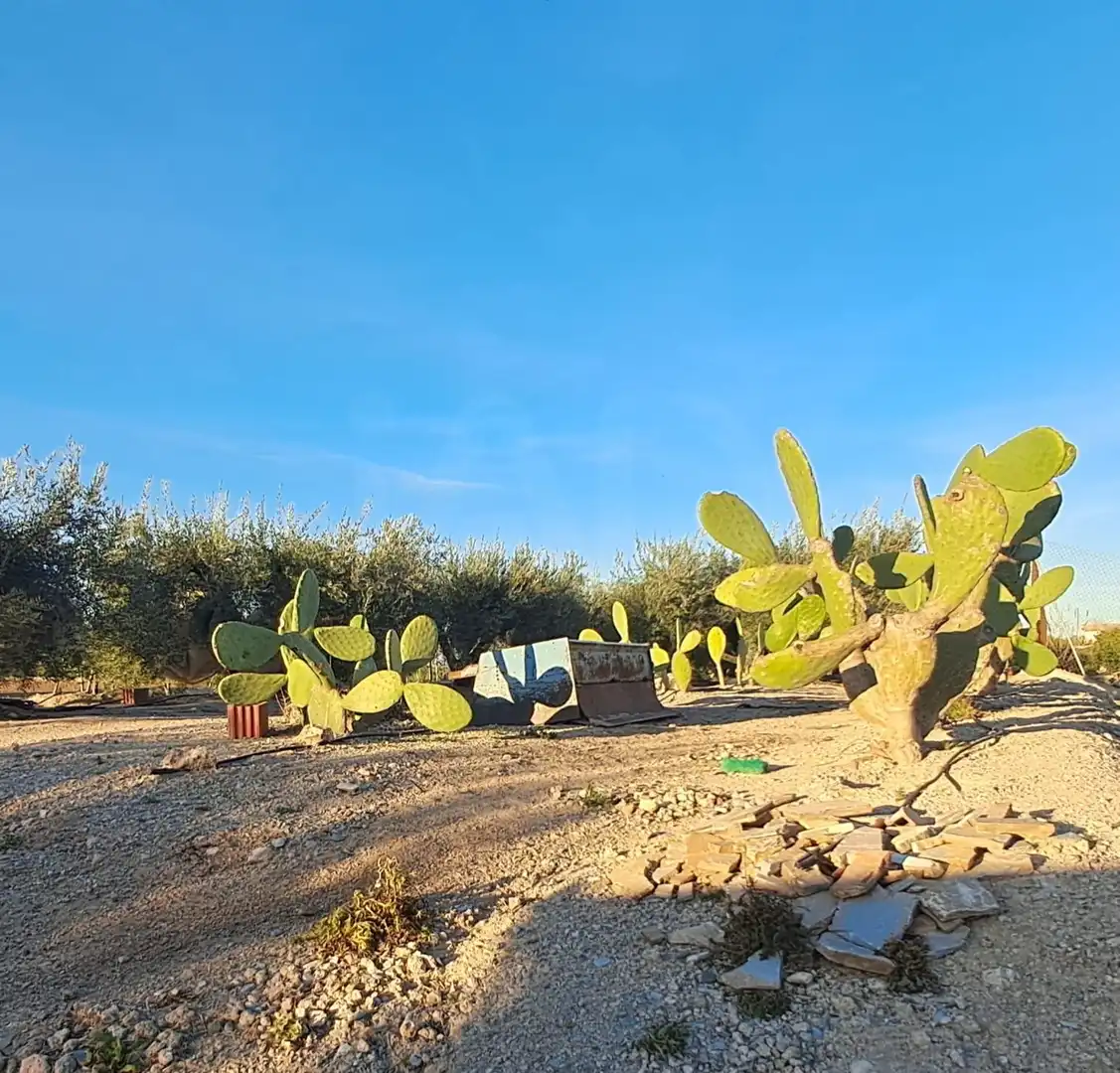 Casa en venta en Pedanías Sur, imagen 27