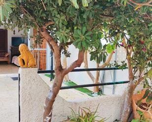 Terrassa de Casa o xalet en venda en Pilar de la Horadada
