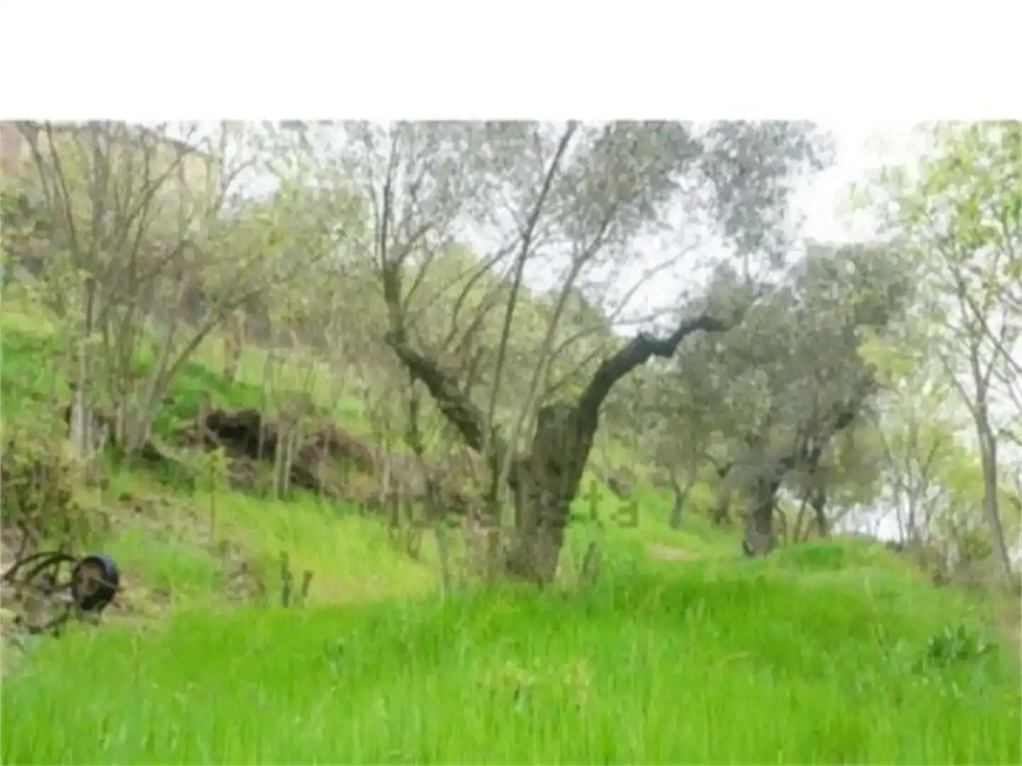 Casa o chalet en venta en Olvena con Jardín privado, Trastero y Amueblado
