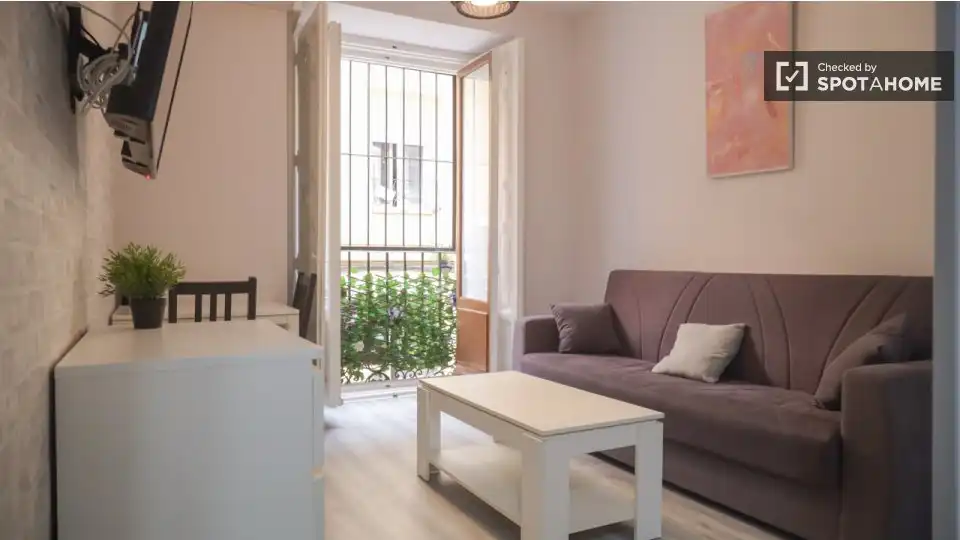 Appartamento con terrazza in affitto a Centro