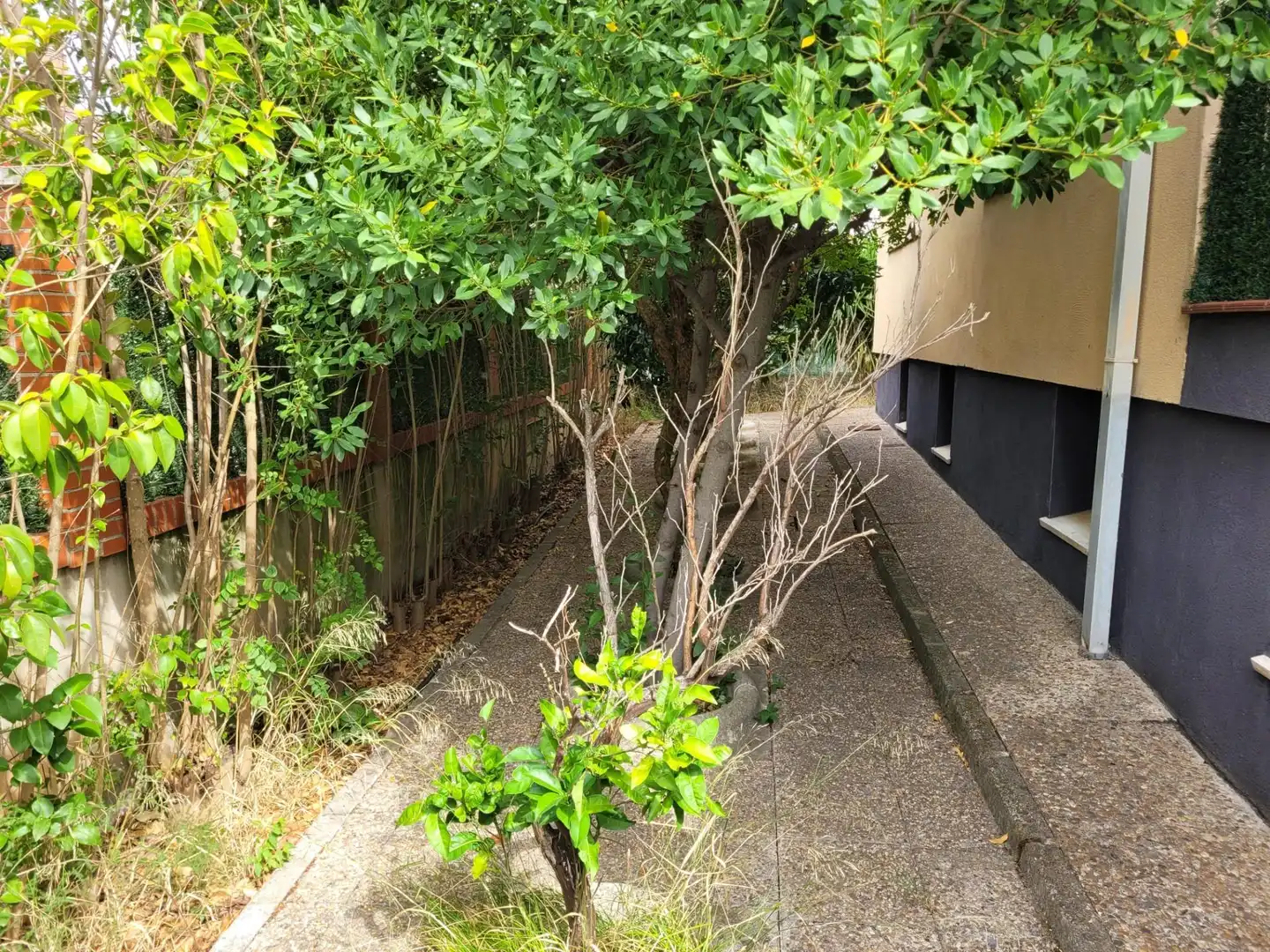 Villa in vendita a Ruta de la Plata, imagen 81