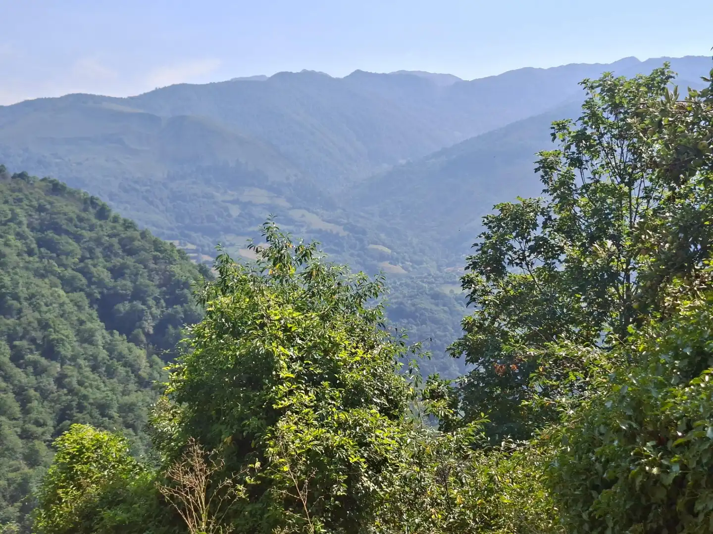 Vista exterior de Casa o xalet en venda en Quirós
