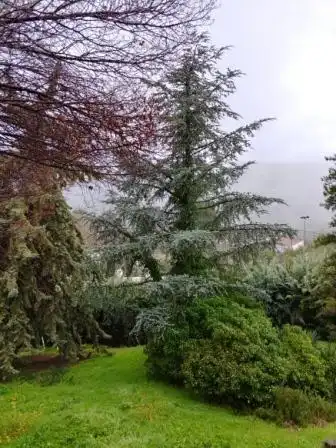 Jardín de Casa o chalet en venta en Zuheros con Calefacción, Jardín privado y Terraza