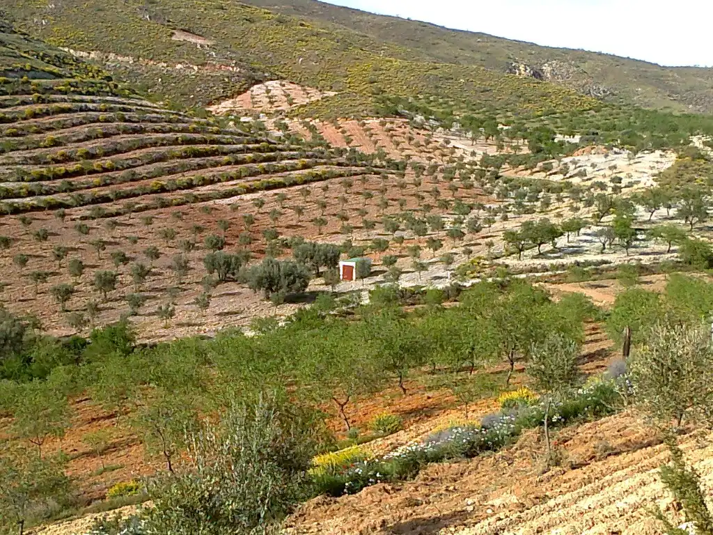 Casa o xalet en venda a del Hinojo a los Jerales, Lubrín