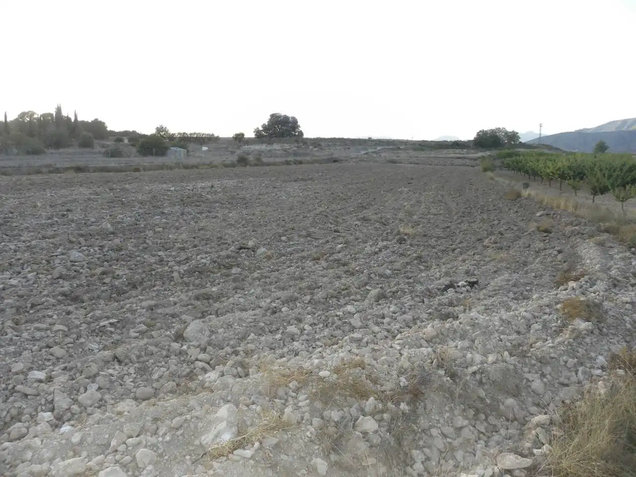 Residential land for sale in Caravaca de la Cruz, imagen 5