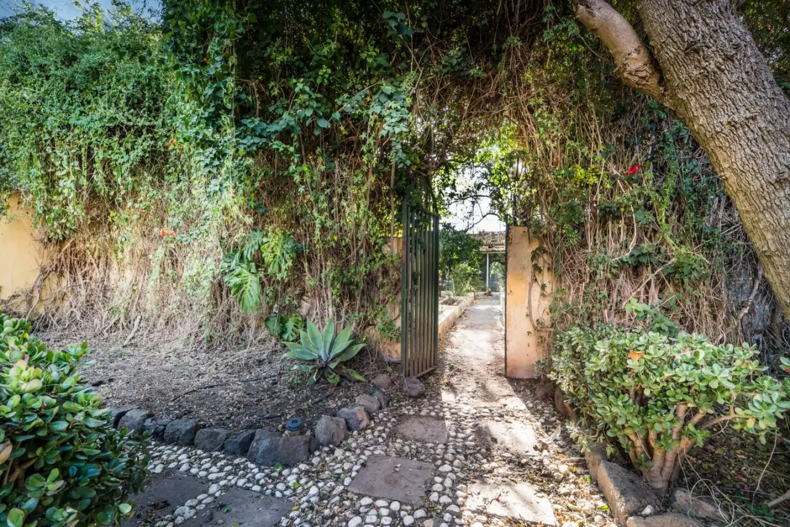 Houses for sale in San Cristóbal de La Laguna - Calle SAN JUAN, La Laguna
