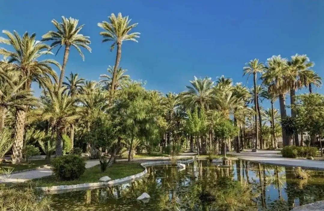 Appartement à vendre à Elche ciudad
