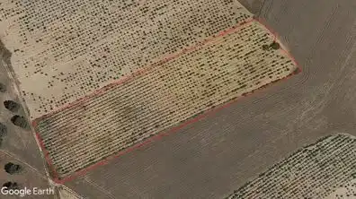 Terreno en venta en Villanueva de Campeán