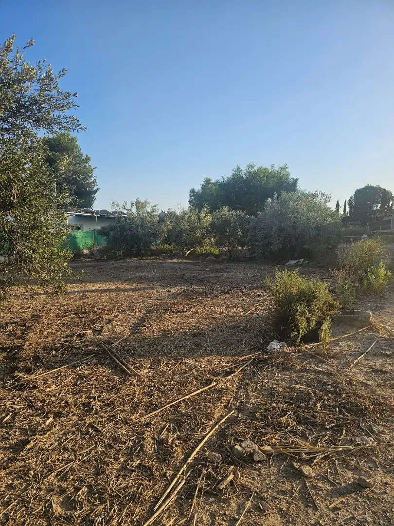 Terreny rústic en venda a Ceutí, imagen 6