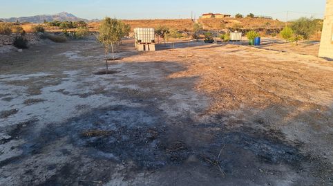 Foto 4 de Finca rústica en venda a El Verdegàs, Alicante / Alacant