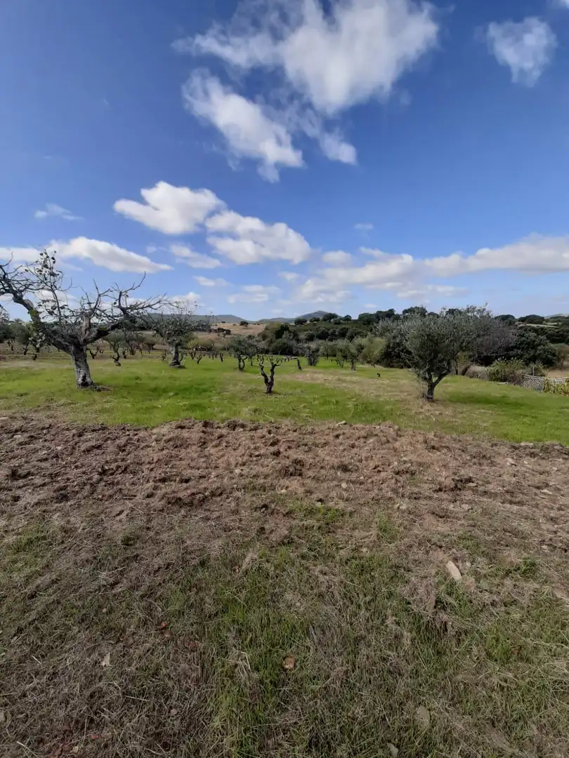 Finca rústica en venta en Jerte