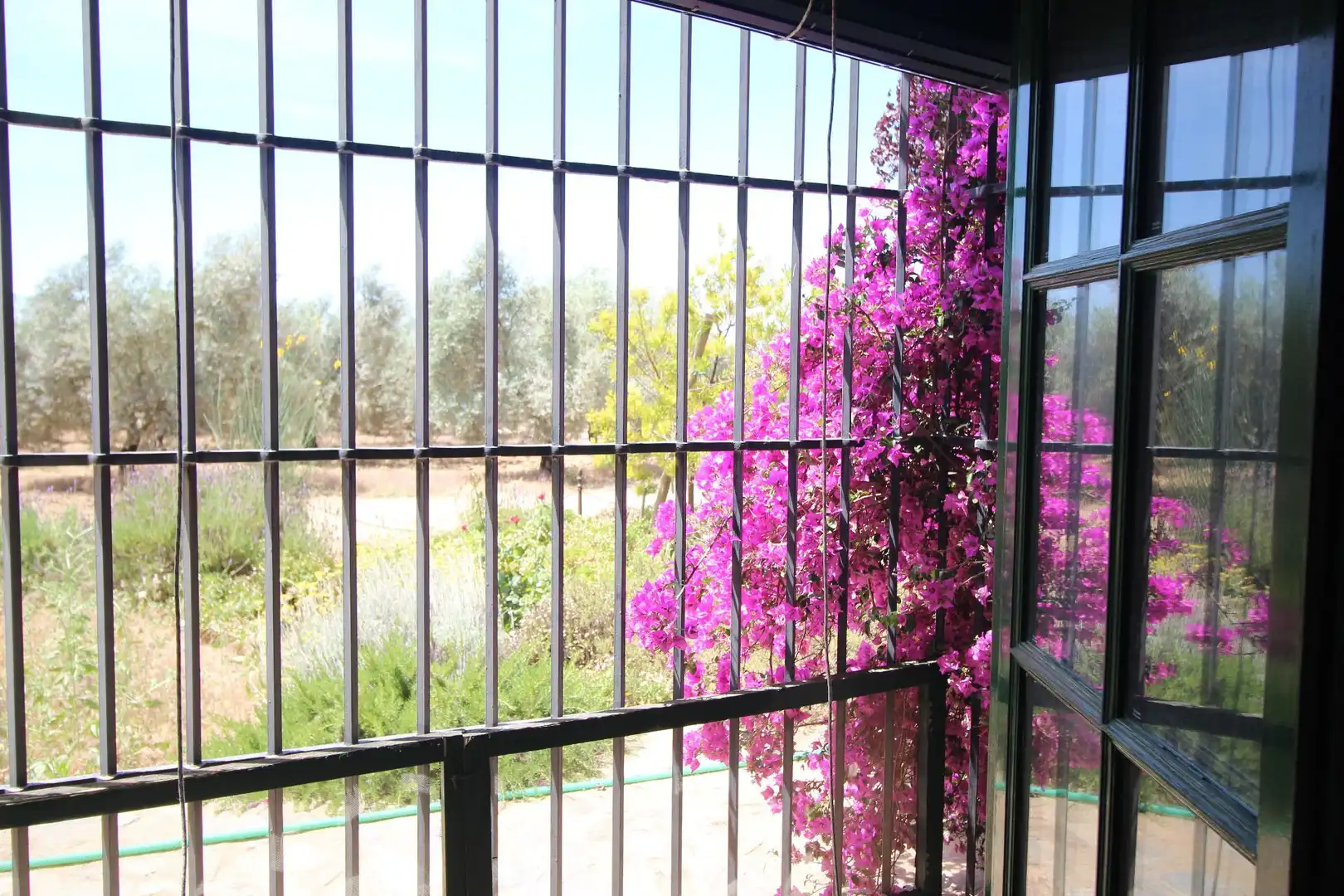 Casa rústica amb jardí en venda a partido romeral, imagen 19