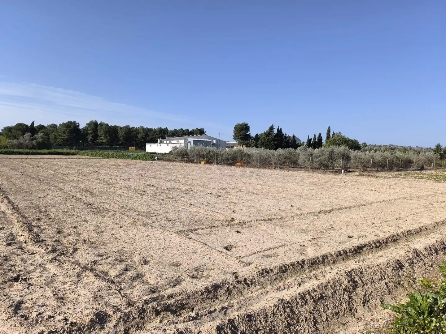 Terreno en venta en Benijófar