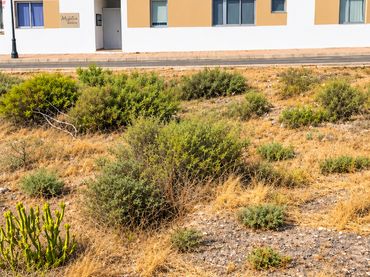 Terreno residenziale in vendita a Camino Pájara