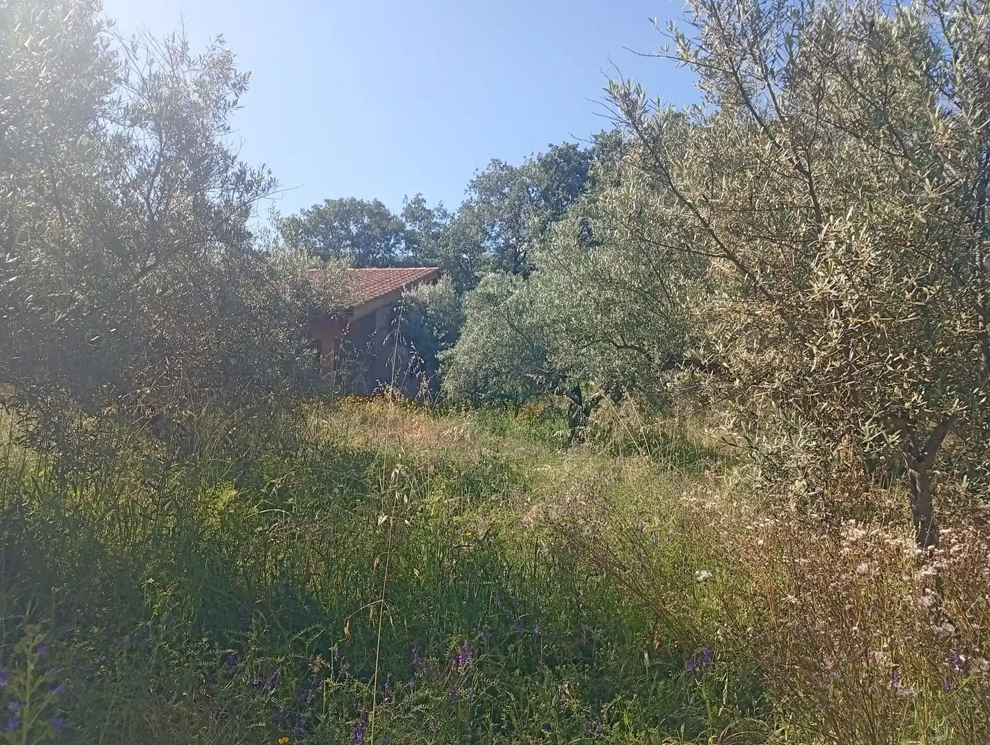 Maison à vendre à Villanueva de la Vera, imagen 39