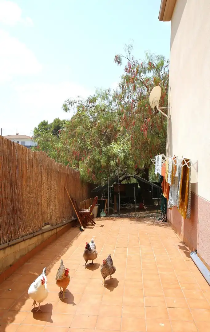 Villa avec piscine à vendre à Els Hostalets de Pierola, imagen 24