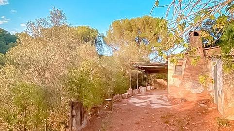 Photo 4 of Country house for sale in Las Jaras, Córdoba