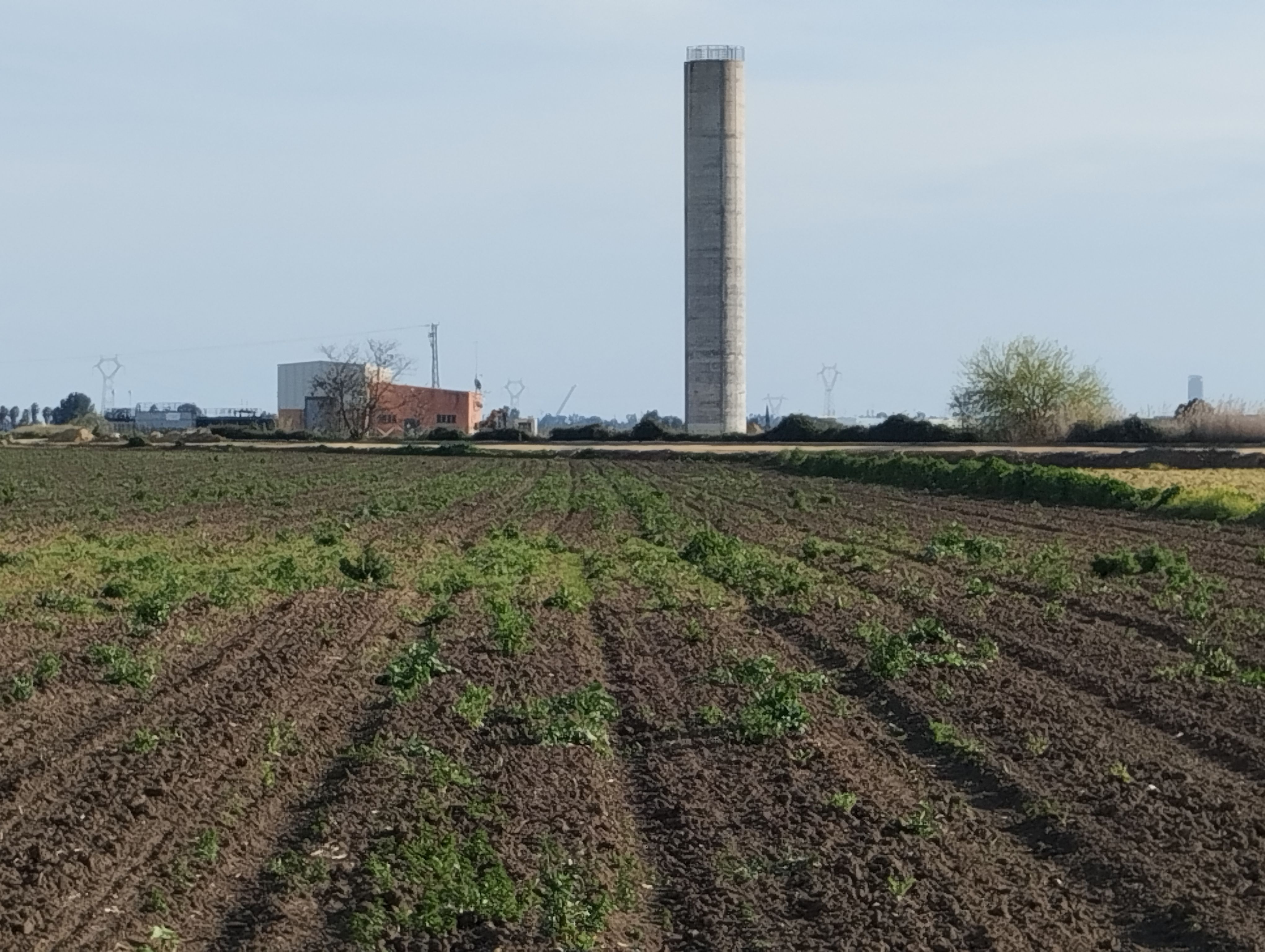 Land for sale in Guillena