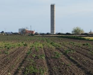 Land for sale in Guillena