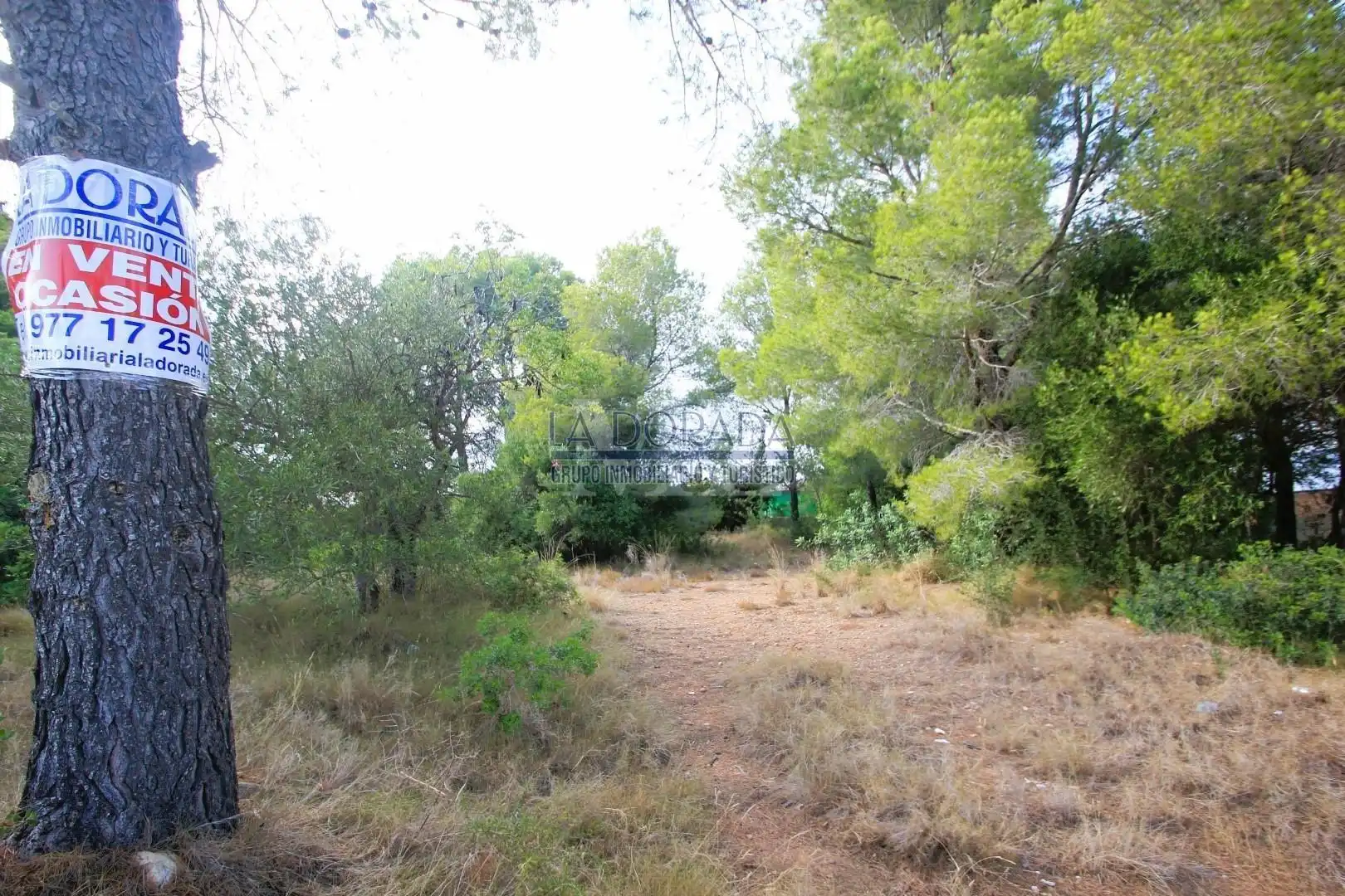 Terreny residencial en venda a Platja de Mont-roig, imagen 11