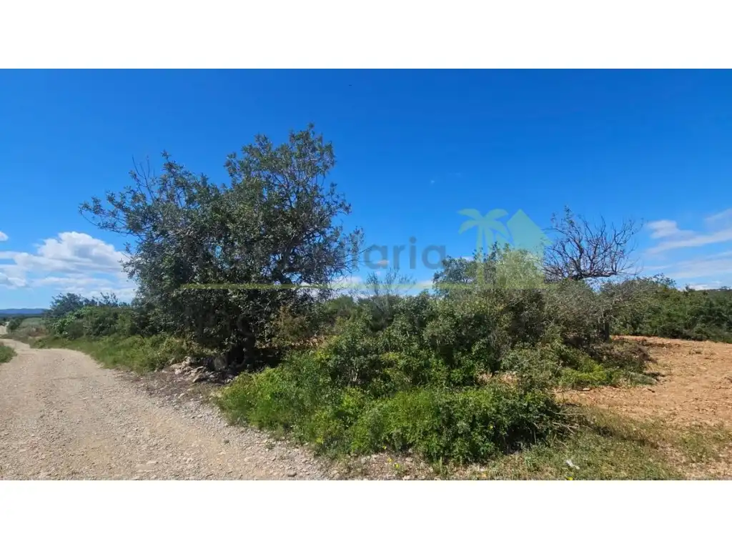 Terreny residencial en venda a Càlig
