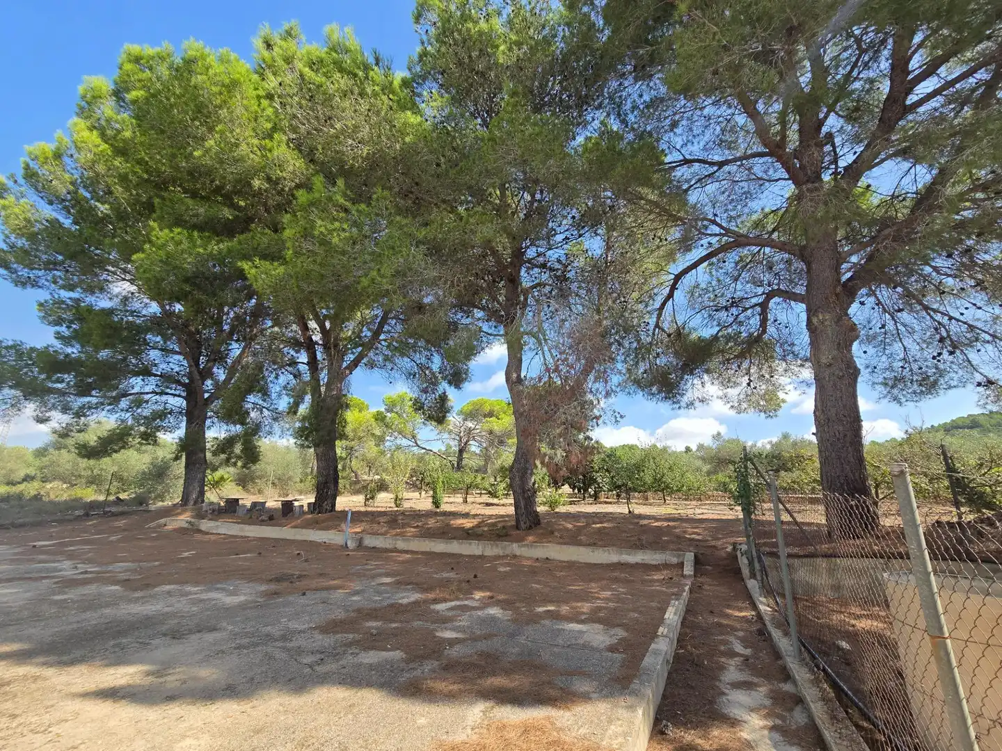 Finca rústica en venta en Freginals con Jardín privado