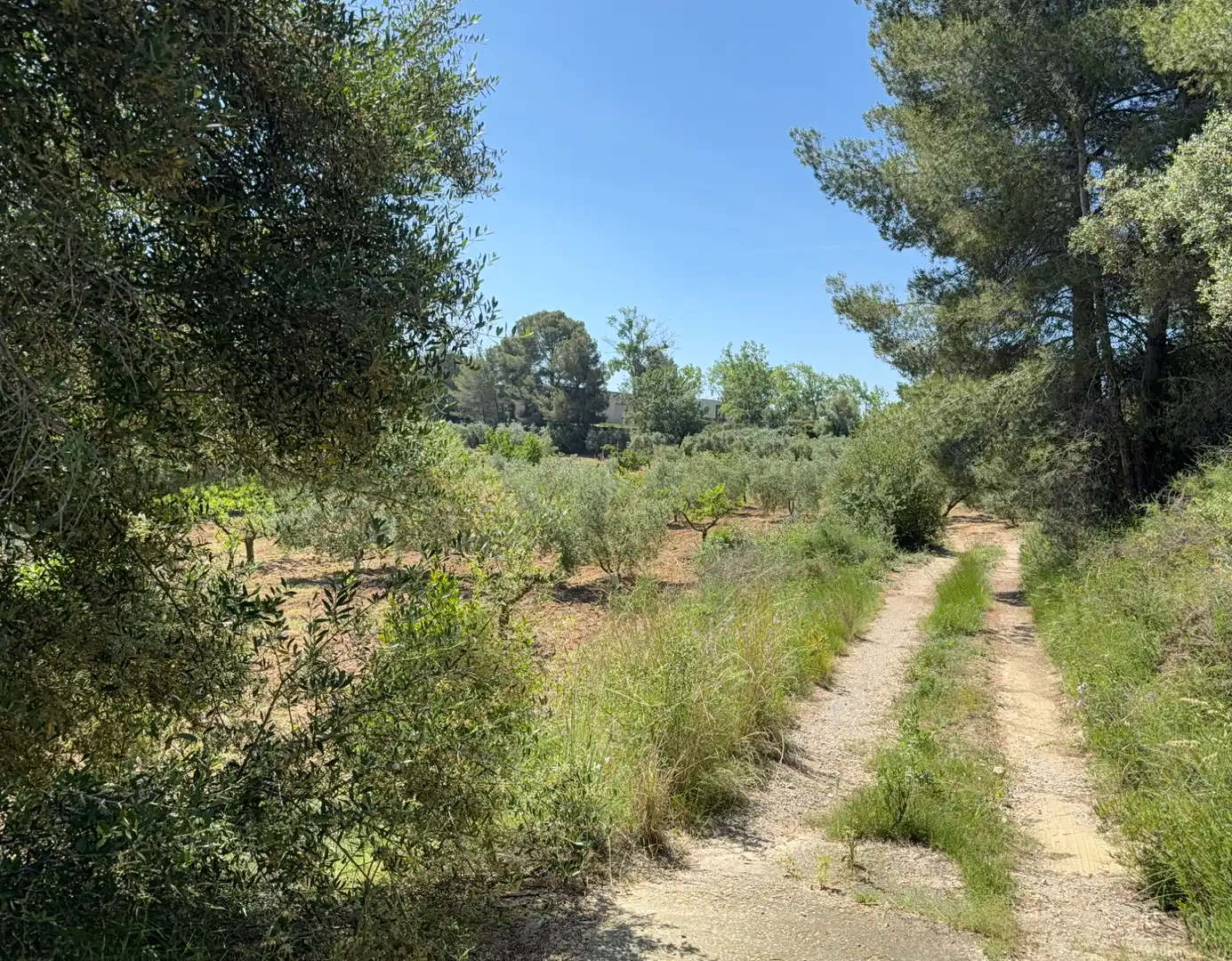 Rustikales Grundstück zum Verkauf in Camí del Cementiri 97, imagen 3