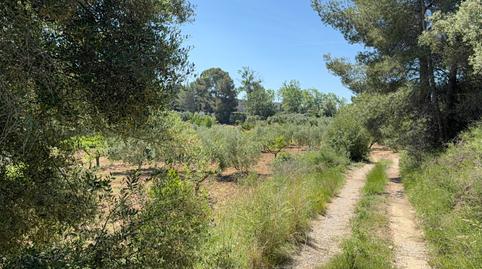 Photo 3 of Land for sale in Camí del Cementiri, 97, L'Arboç, Tarragona