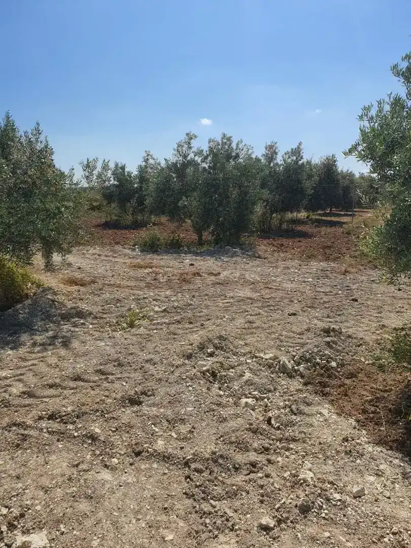 Terreno en venta en Osuna