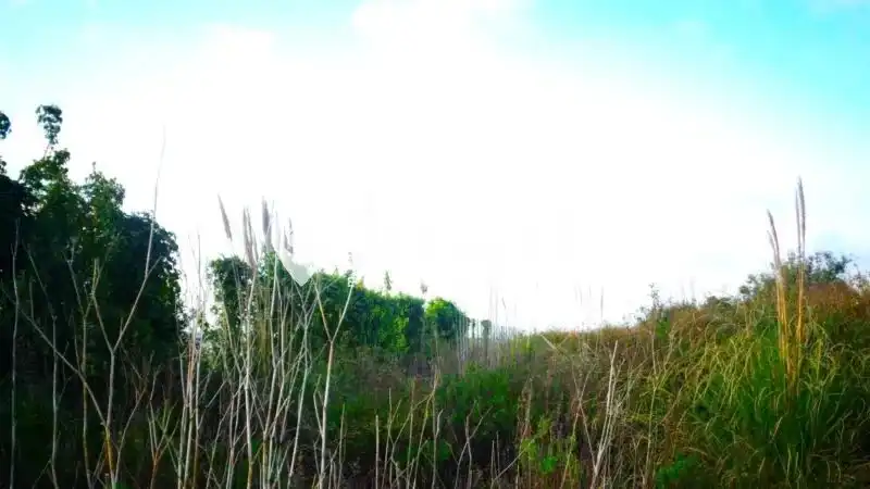 Land for sale in Gijón 