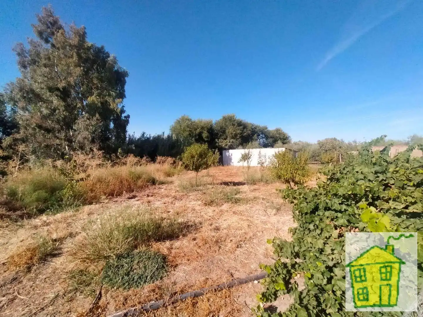 Finca rústica en venta en Marmolejo con Jardín privado