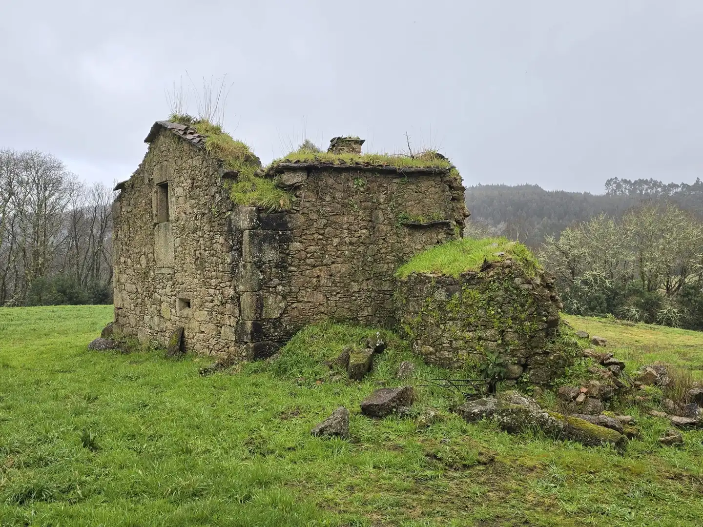 Vista exterior de Finca rústica en venda en Cerceda amb Jardí privat