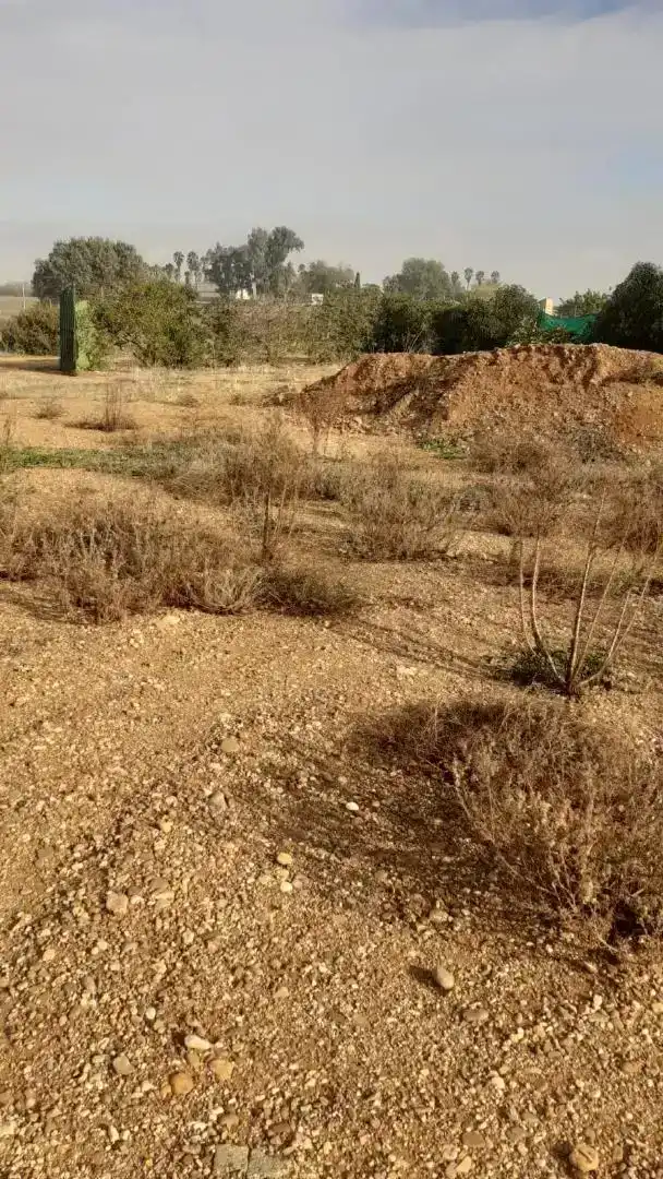 Finca rústica en venda en La Campana