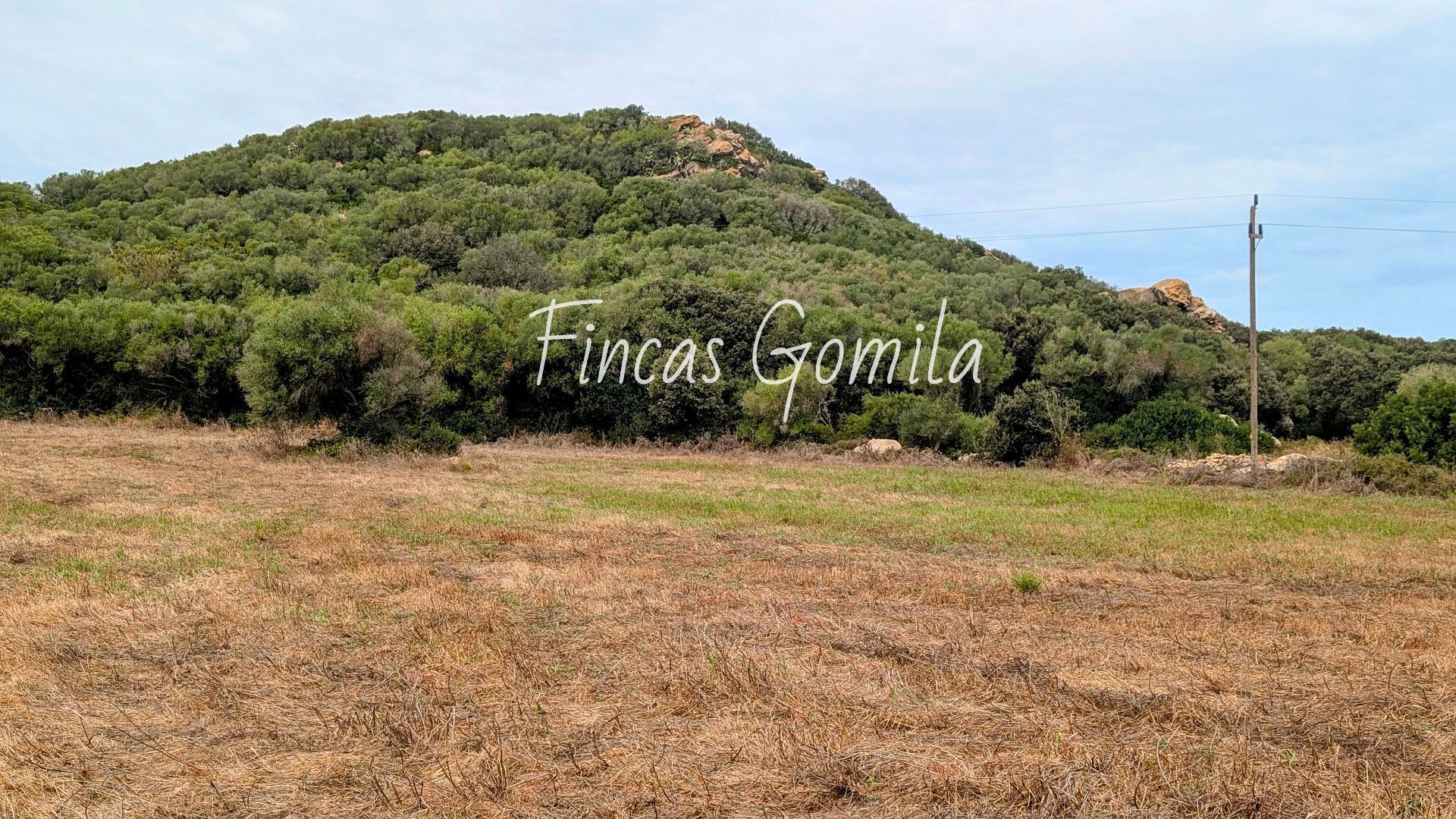 Land for sale in Alaior