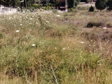 Terreno residenziale in vendita a Casco Urbano